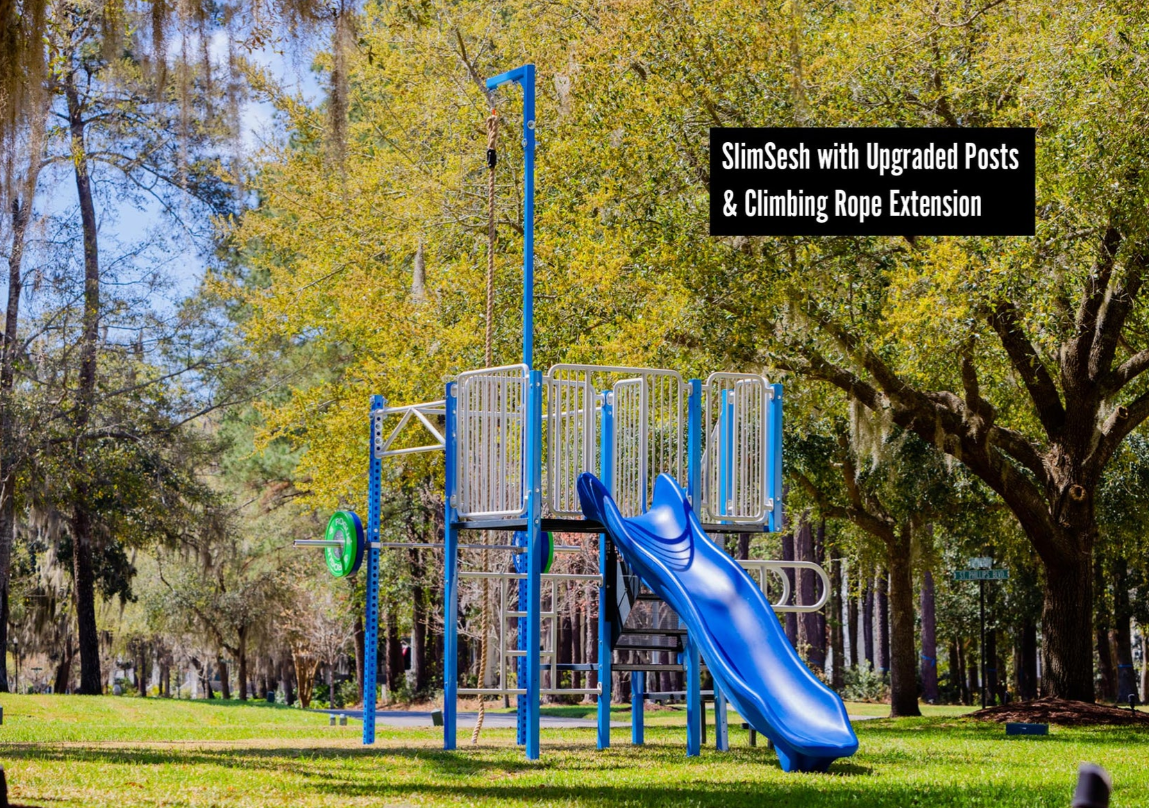 Backyard Playset
